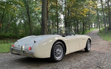 Austin-healey-100m-1956-White-Black-11
