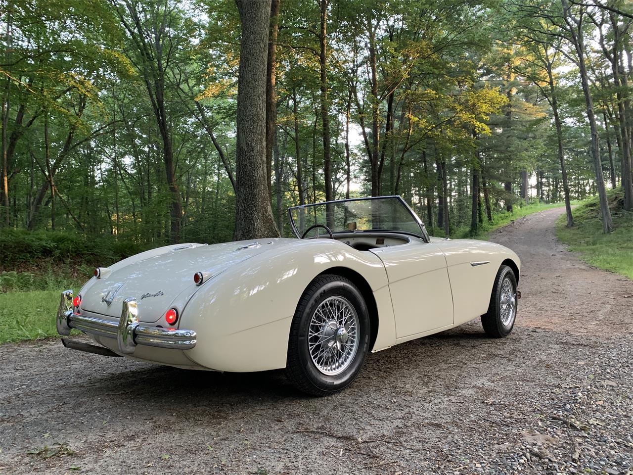 Austin-healey-100m-1956-White-Black-11