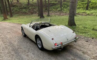 Austin-healey-100m-1956-White-Black-12