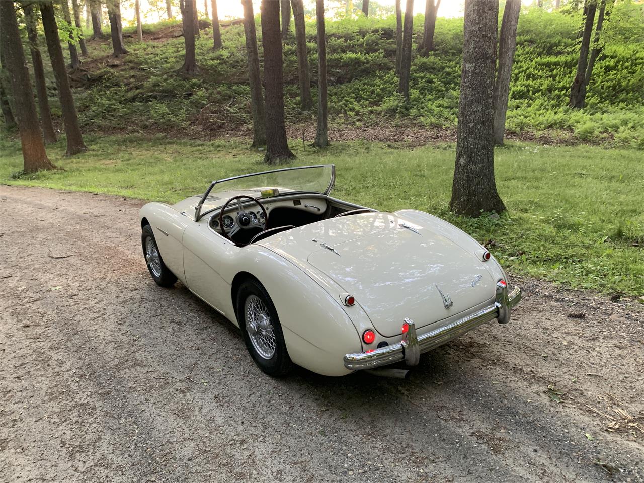 Austin-healey-100m-1956-White-Black-12