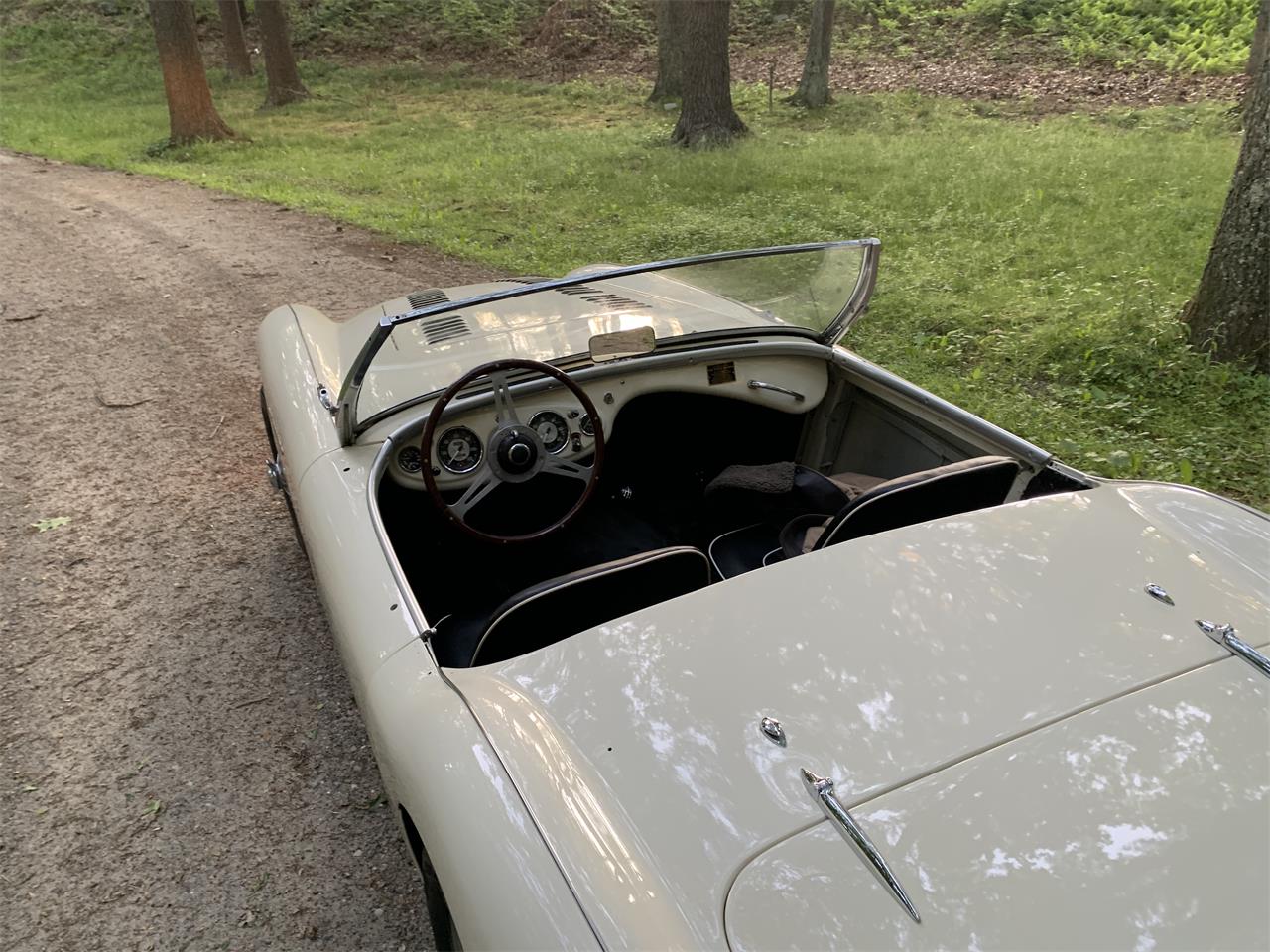 Austin-healey-100m-1956-White-Black-13