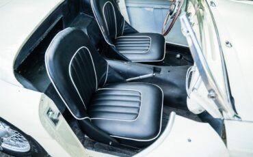 Austin-healey-100m-1956-White-Black-17