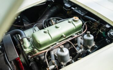 Austin-healey-100m-1956-White-Black-18
