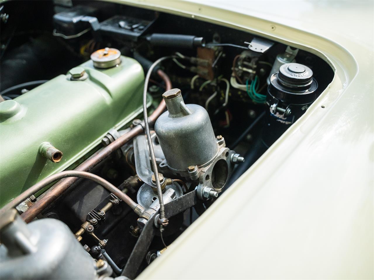 Austin-healey-100m-1956-White-Black-19