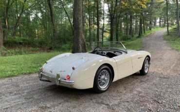 Austin-healey-100m-1956-White-Black-2