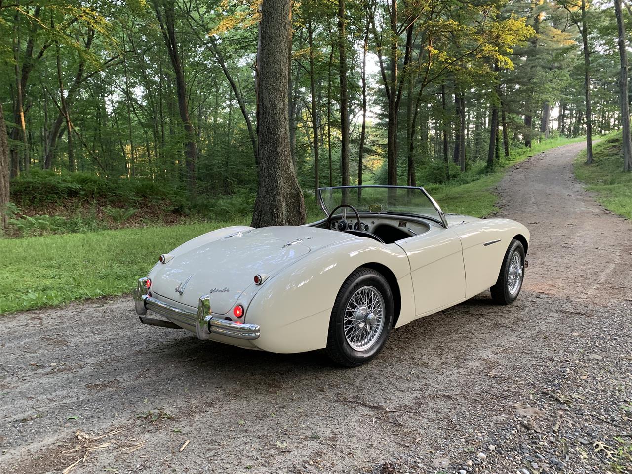 Austin-healey-100m-1956-White-Black-2