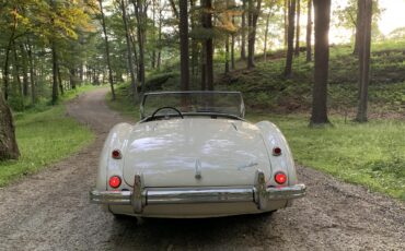 Austin-healey-100m-1956-White-Black-3