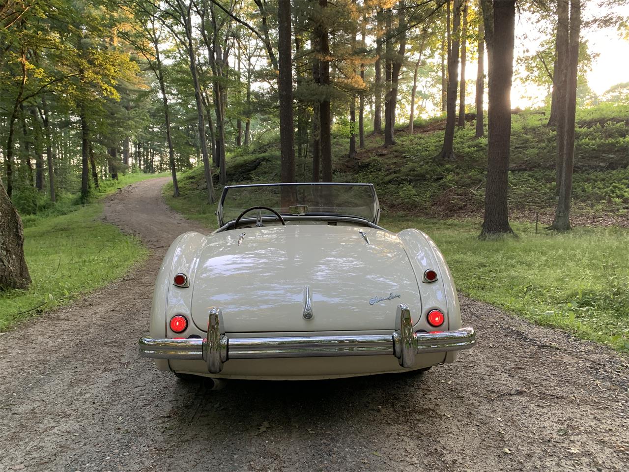 Austin-healey-100m-1956-White-Black-3