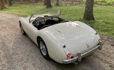 Austin-healey-100m-1956-White-Black-4