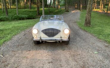 Austin-healey-100m-1956-White-Black-5