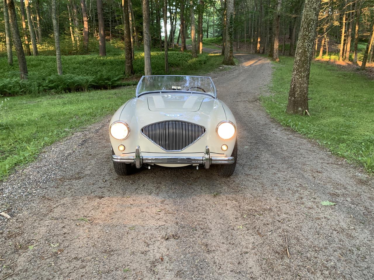 Austin-healey-100m-1956-White-Black-5
