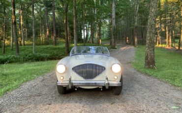 Austin-healey-100m-1956-White-Black-7