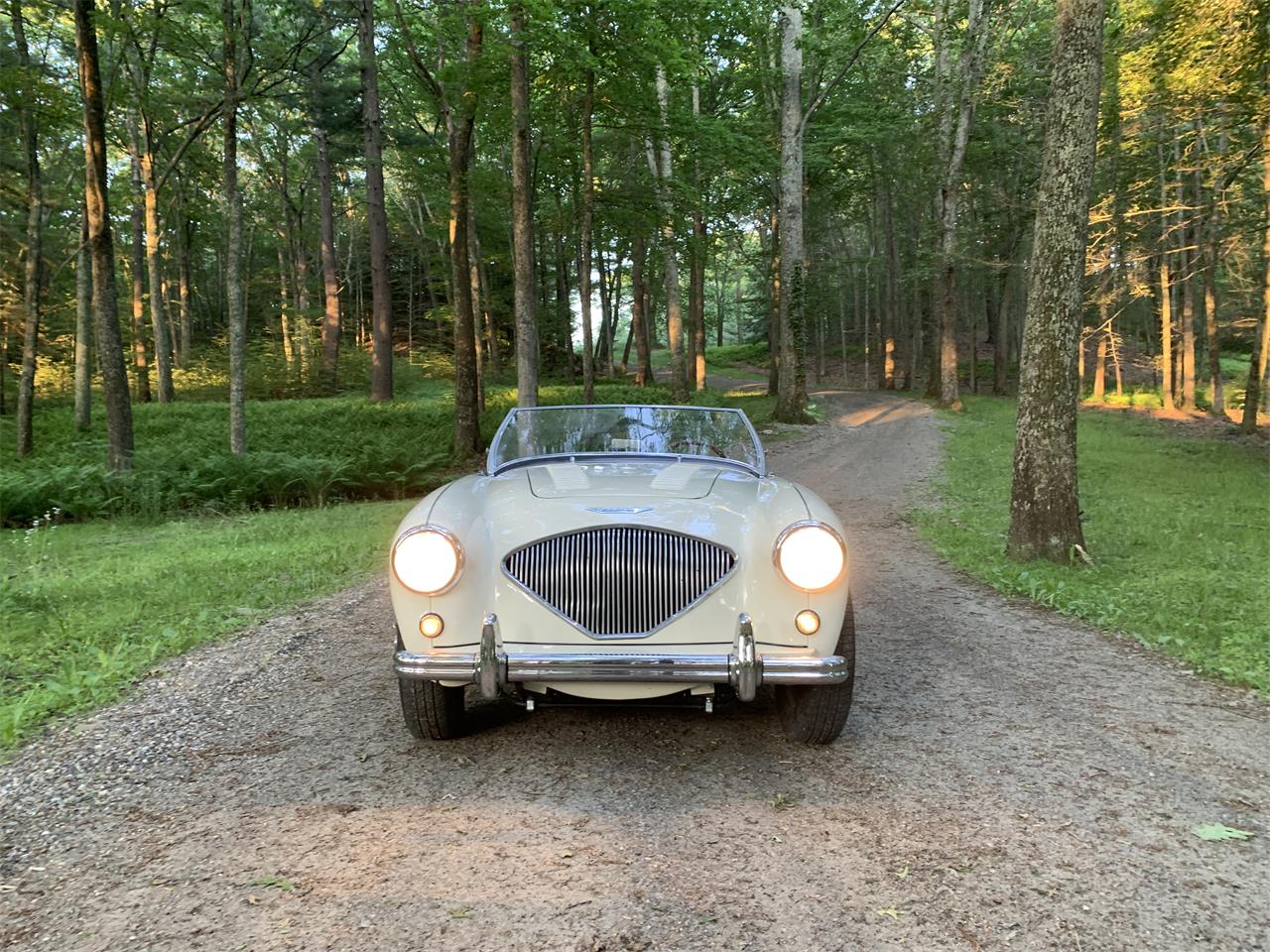 Austin-healey-100m-1956-White-Black-7