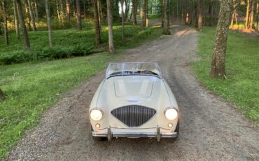 Austin-healey-100m-1956-White-Black-8