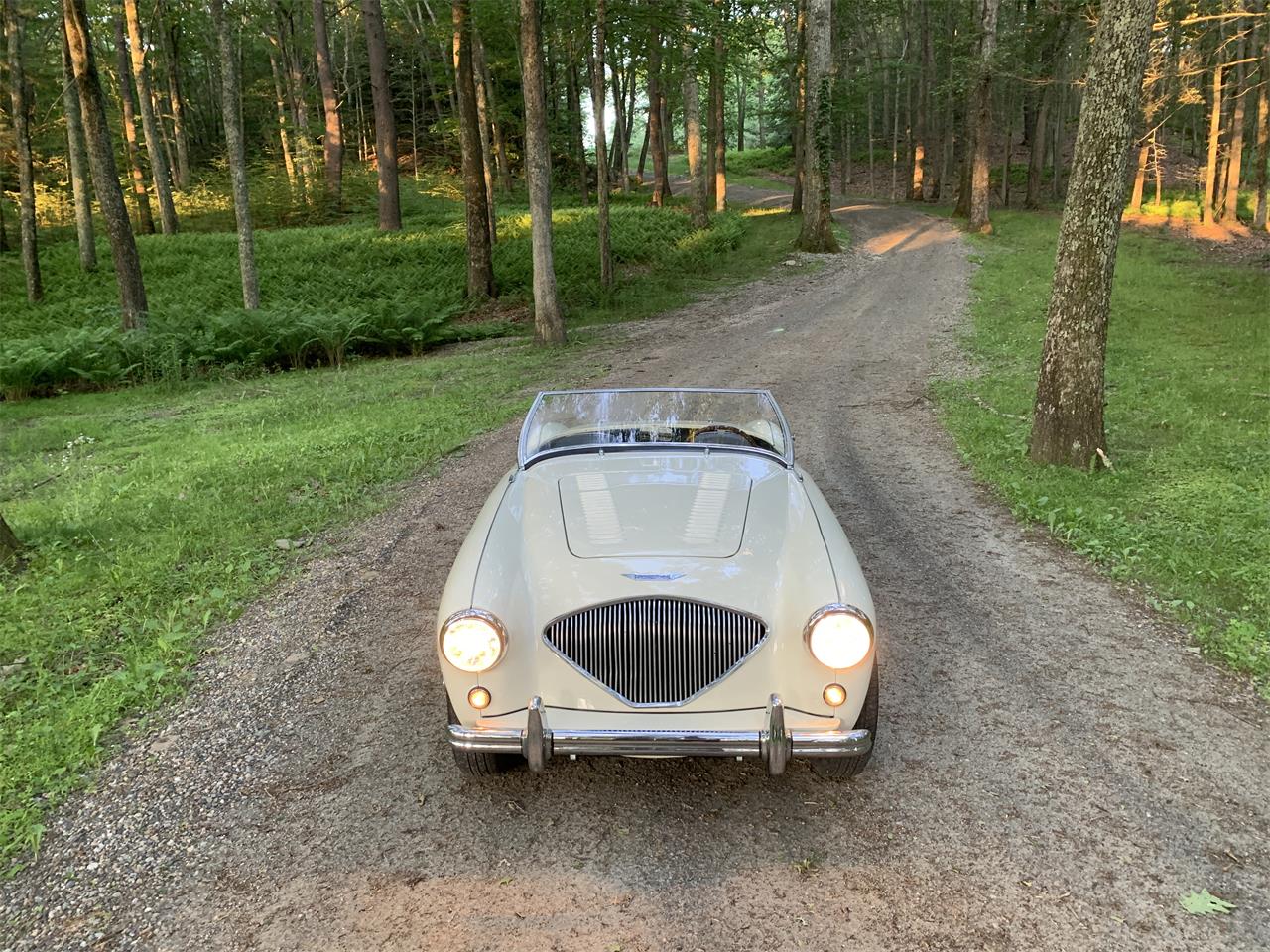 Austin-healey-100m-1956-White-Black-8