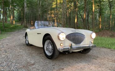 Austin-healey-100m-1956-White-Black-9