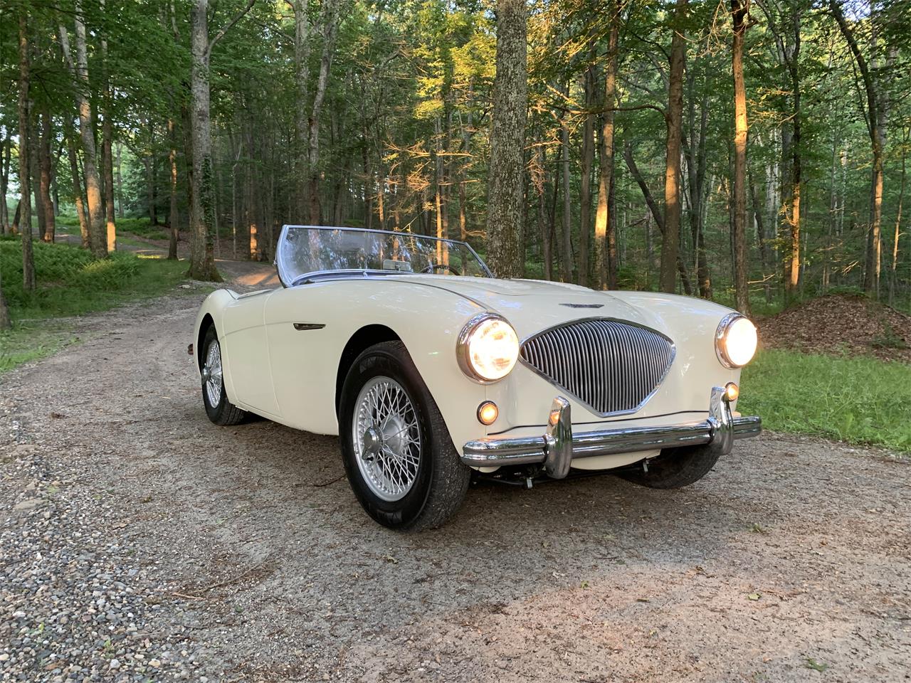Austin-healey-100m-1956-White-Black-9