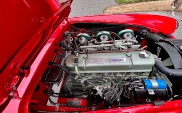 Austin-healey-3000-1962-Signal-RedRed-Hardt-Gray-Leather-24
