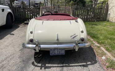 Austin-healey-3000-mark-i-bn7-1960-Cream-Red-4