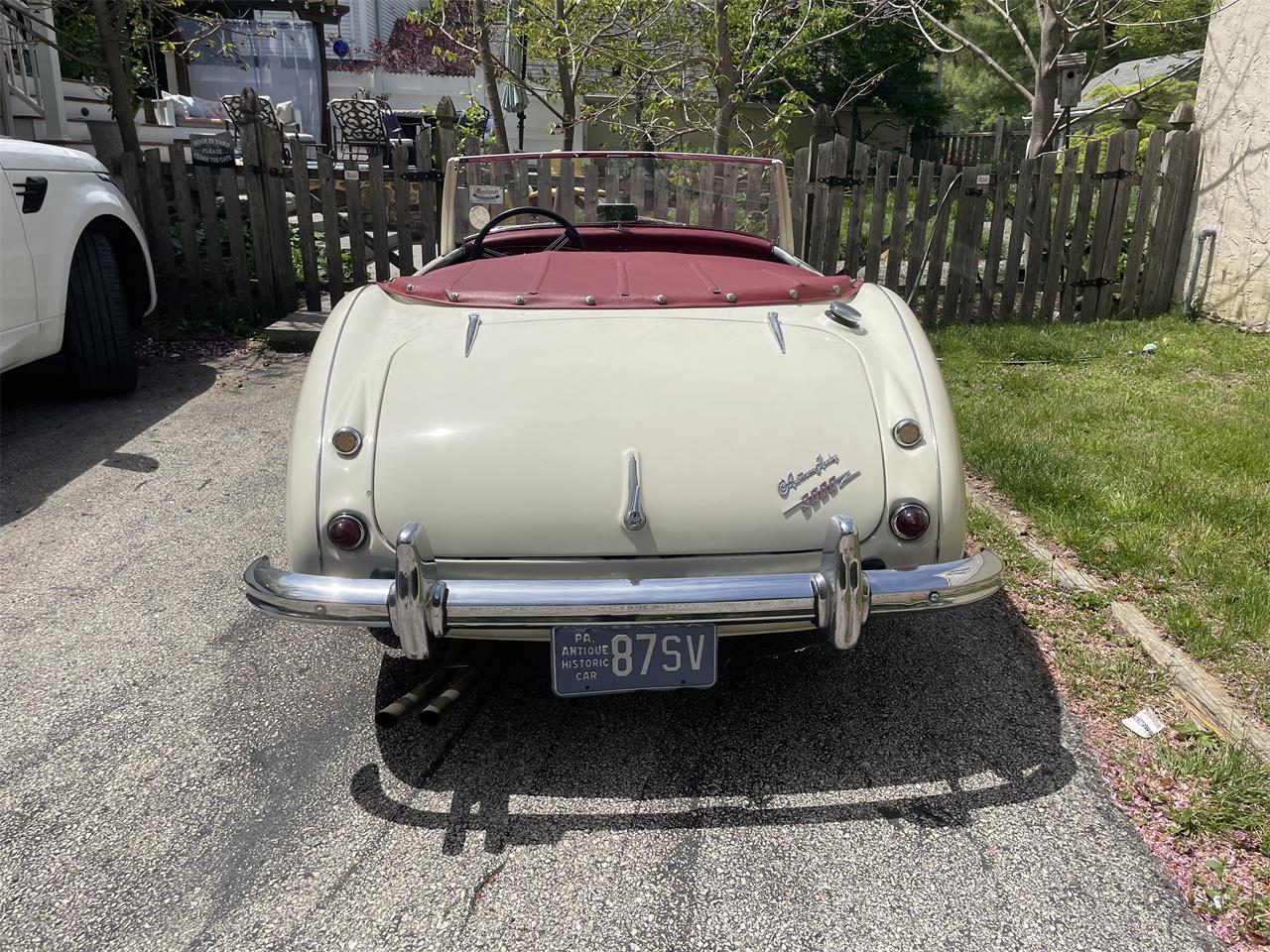 Austin-healey-3000-mark-i-bn7-1960-Cream-Red-4