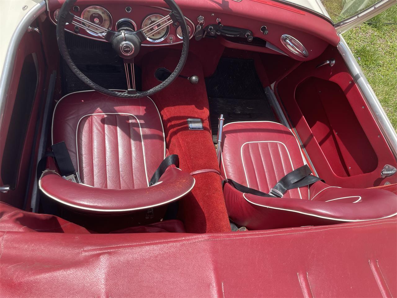 Austin-healey-3000-mark-i-bn7-1960-Cream-Red-5