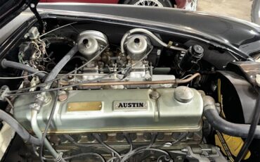 Austin-healey-3000-mark-iii-1964-Black-Red-8