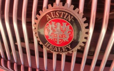 Austin-healey-3000-mark-iii-bj8-1962-Red-Brown-5