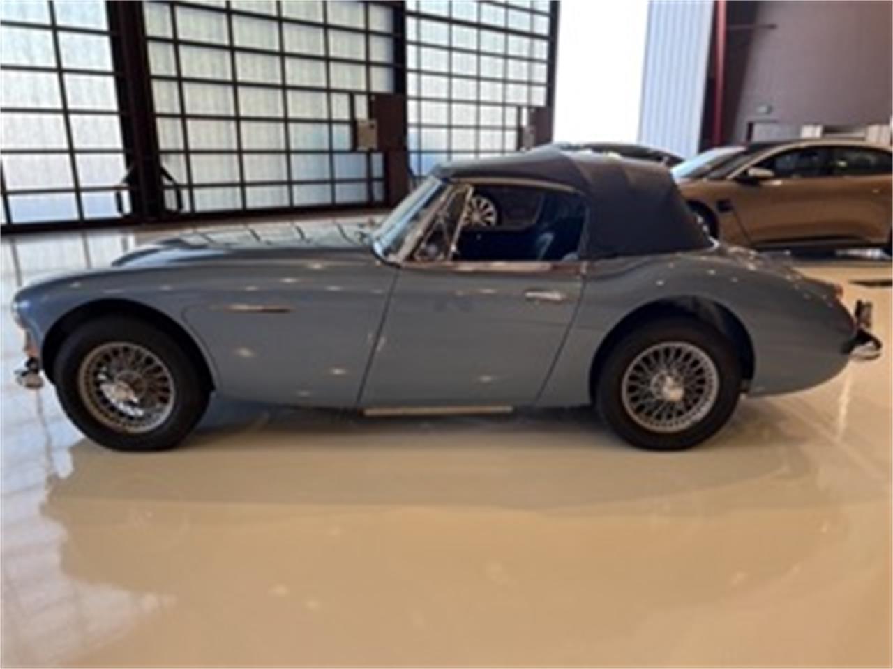 Austin-healey-3000-mark-iii-bj8-1967-Blue-Blue-9