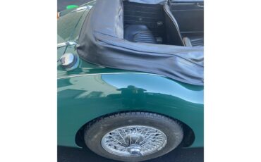 Austin-healey-3000-mark-iii-bj8-1967-British-Racing-Green-Black-10