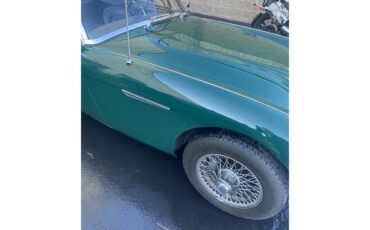 Austin-healey-3000-mark-iii-bj8-1967-British-Racing-Green-Black-13
