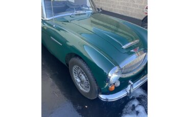 Austin-healey-3000-mark-iii-bj8-1967-British-Racing-Green-Black-14