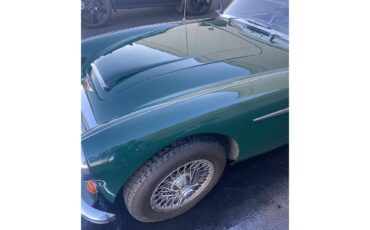 Austin-healey-3000-mark-iii-bj8-1967-British-Racing-Green-Black-17