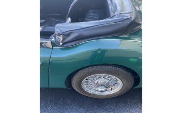 Austin-healey-3000-mark-iii-bj8-1967-British-Racing-Green-Black-20
