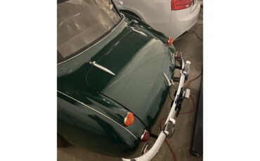 Austin-healey-3000-mark-iii-bj8-1967-British-Racing-Green-Black-32