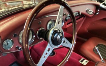 Austin-healey-3000-mk-i-bt7-1959-Black-with-red-coves-Red-black-12