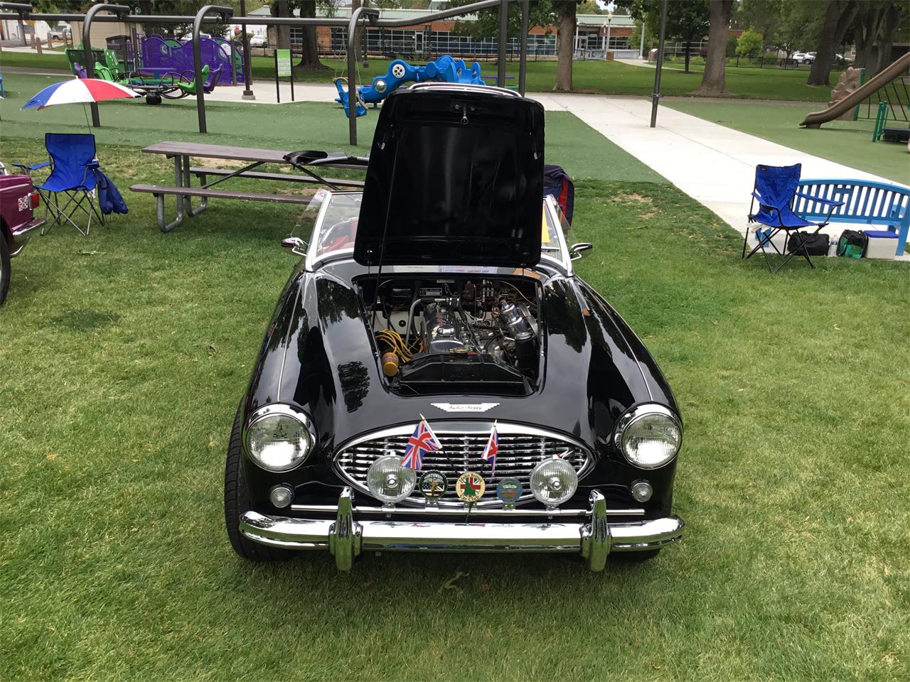 Austin-healey-3000-mk-i-bt7-1959-Black-with-red-coves-Red-black-13