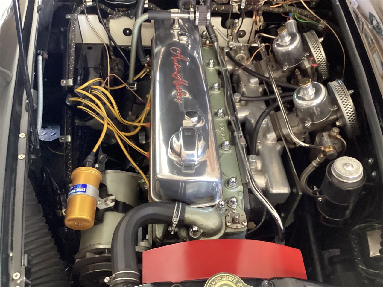 Austin-healey-3000-mk-i-bt7-1959-Black-with-red-coves-Red-black-15