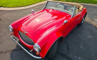 Austin-healey-3000-mk-ii-1962-red-Tan-4