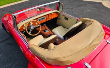 Austin-healey-3000-mk-ii-1962-red-Tan-5