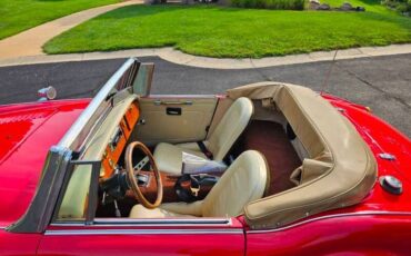 Austin-healey-3000-mk-ii-1962-red-Tan-6