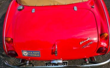 Austin-healey-3000-mk-ii-1962-red-Tan-9