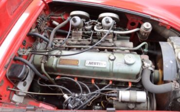Austin-healey-Other-1962-Red-Red-7