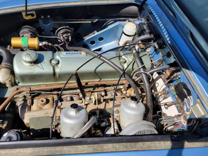 Austin-healey-Other-1967-Blue-Blue-8