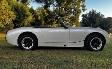Austin-healey-sprite-mrk-1-bugeye-1959-2