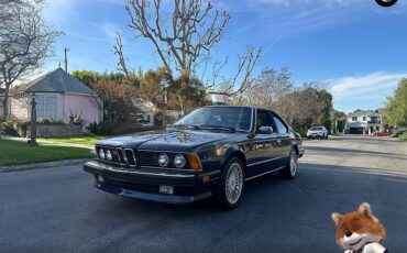 BMW-6-Series-1987-Coupe-31