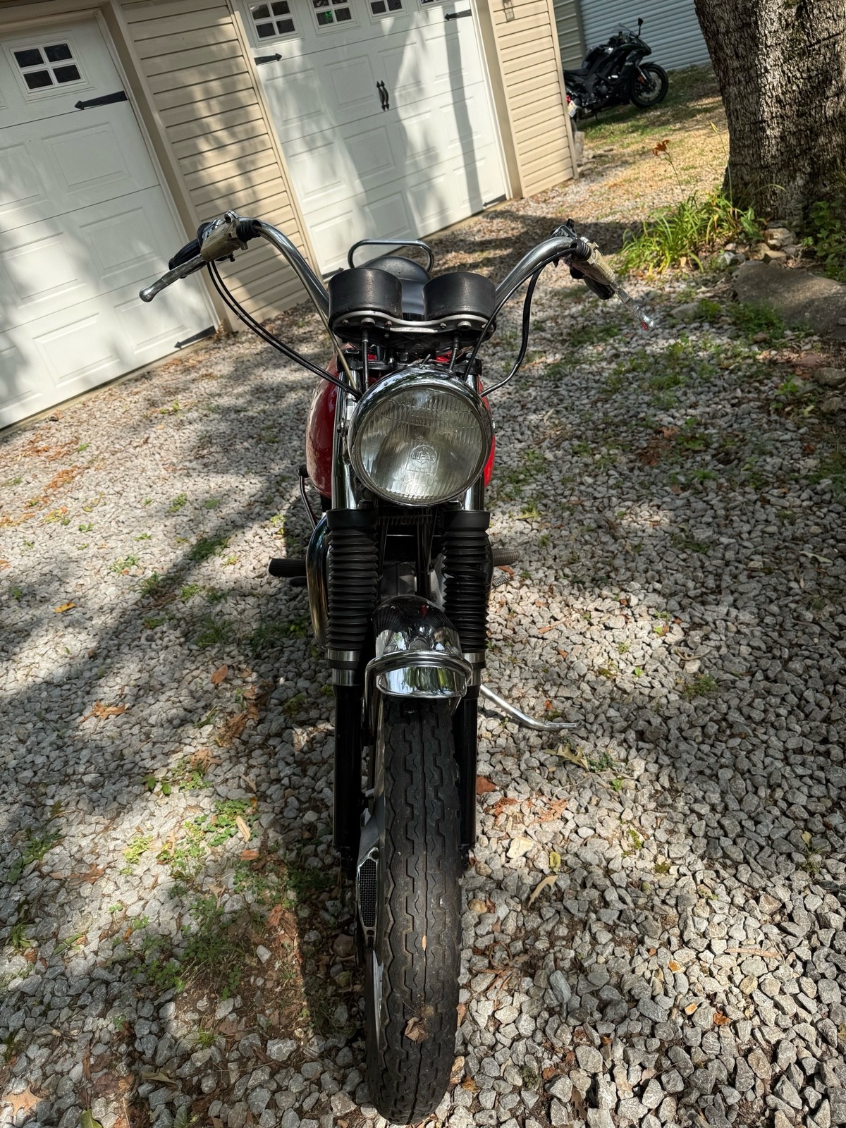 BSA-A65-1968-5