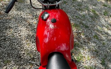 BSA-A65-1968-7