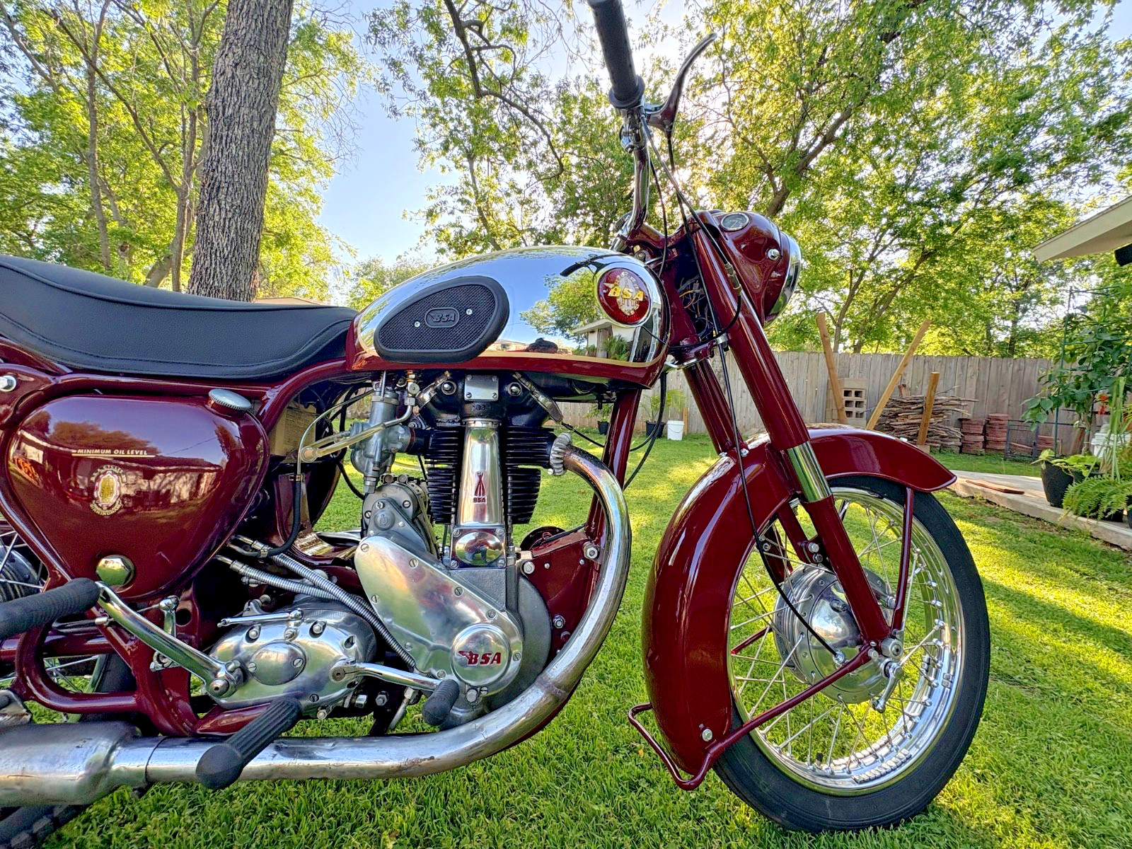 BSA-B31-1956-11