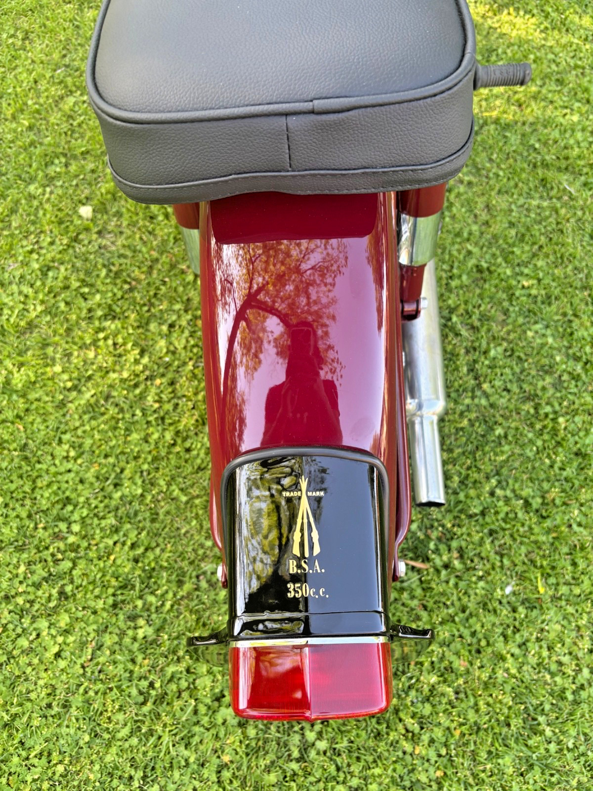 BSA-B31-1956-13