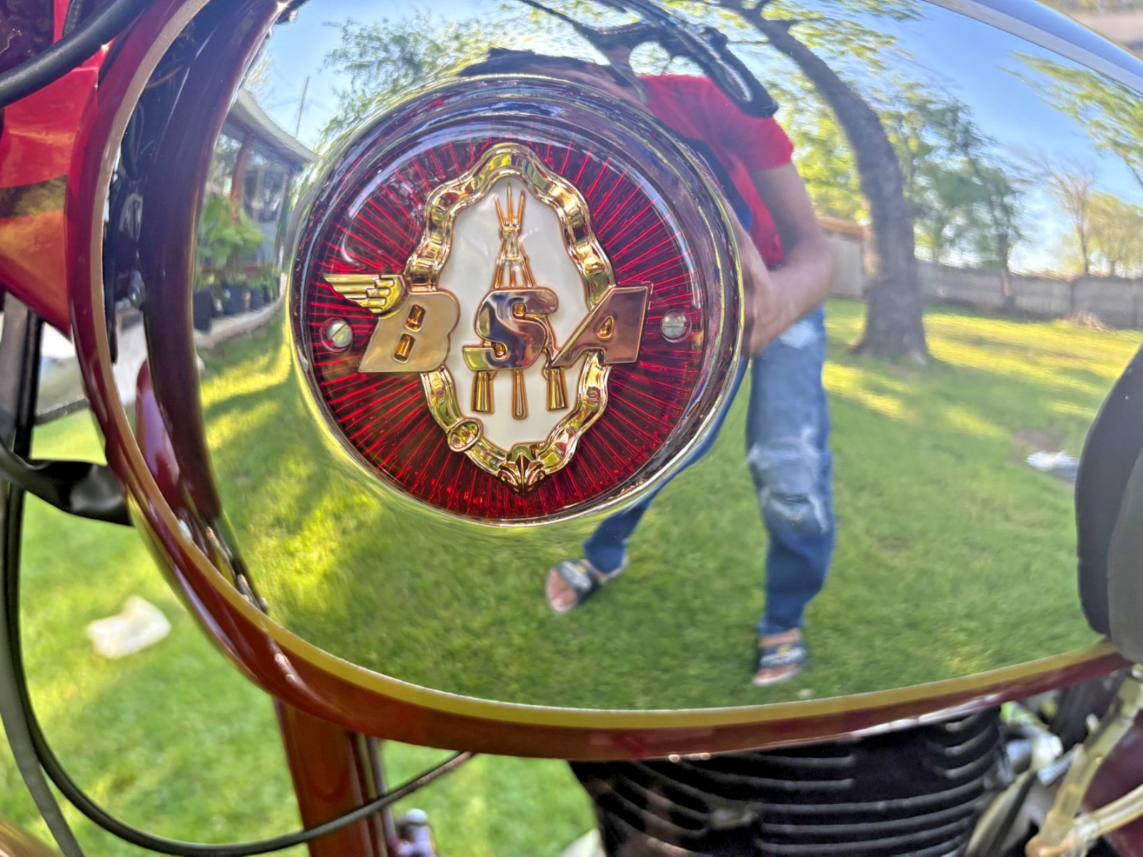 BSA-B31-1956-15